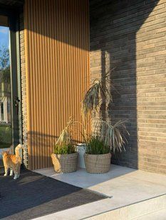 Фасадна рейкова панель Legro Golden Maple FS15